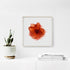 Orange Rose II Flower Art Print